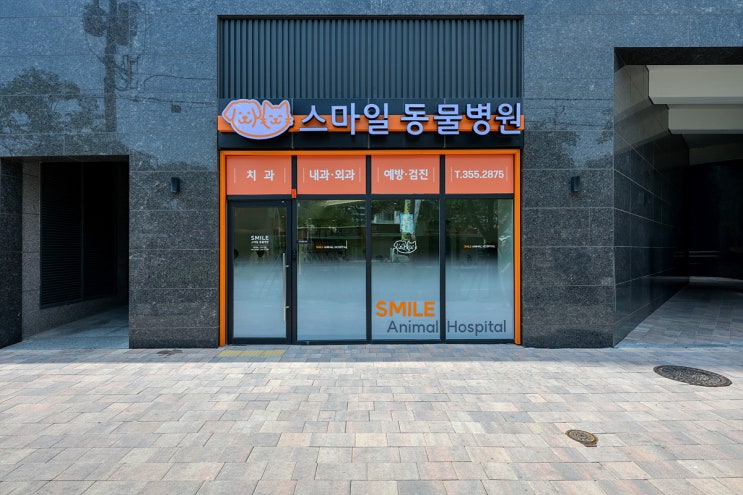  곡선과 도장 마감의 디테일을 강조한 대구 스마일 동물병원 인테리어