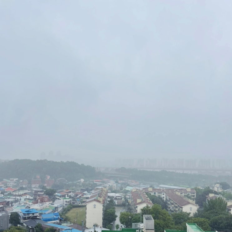  석가백차