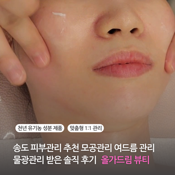  송도 피부관리 추천 올가드림뷰티 송도에서 모공관리 여드름관리 물광관리 받은 솔직 후기 송도 에스테틱