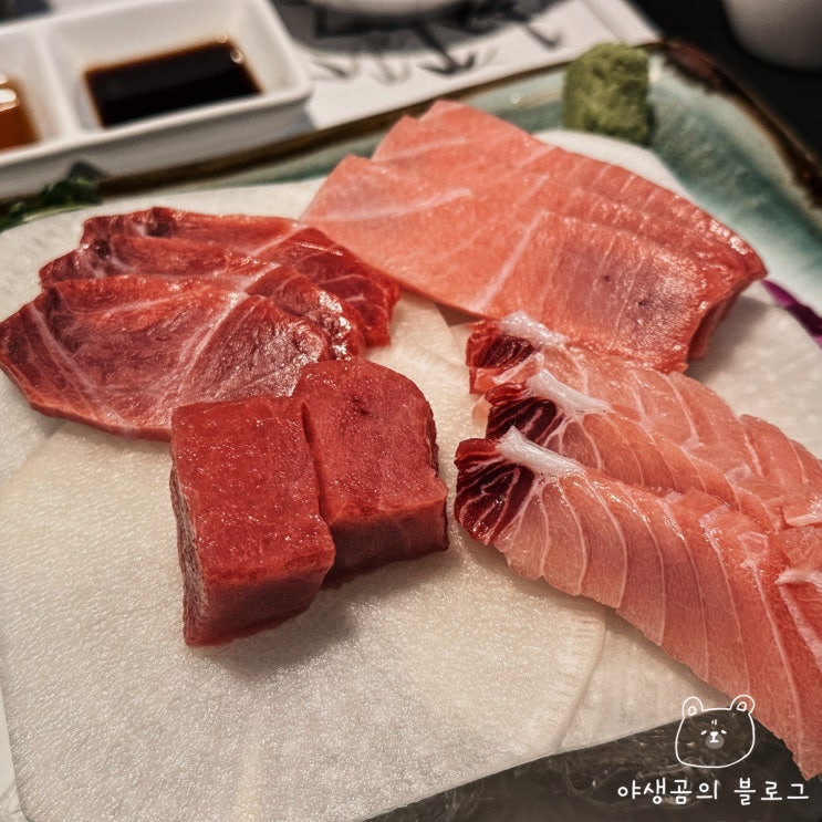  일산 참치 맛집 은참치 부위별 혼마구로 제대로 나오는 곳