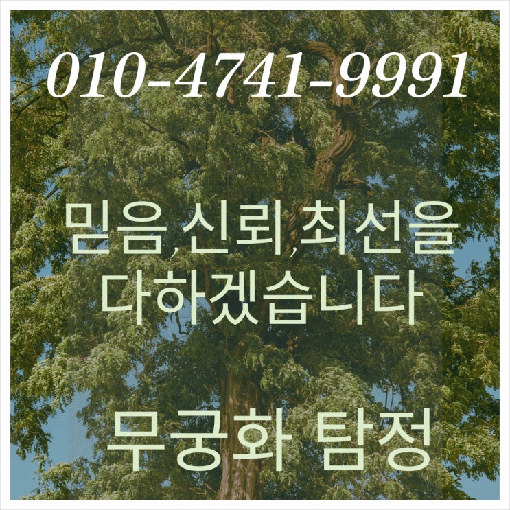  동패동흥신소 정식 탐정 문의