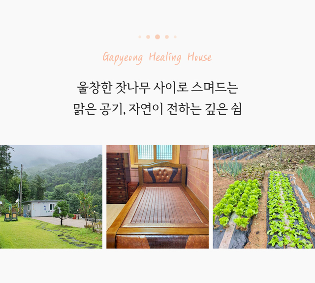 황토힐링하우스 사진 2