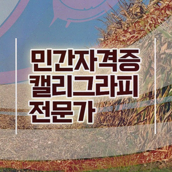  캘리그라피메뉴 , 캘리그라피전문가 자격증 독학으로 합격한 후기 정보 가득