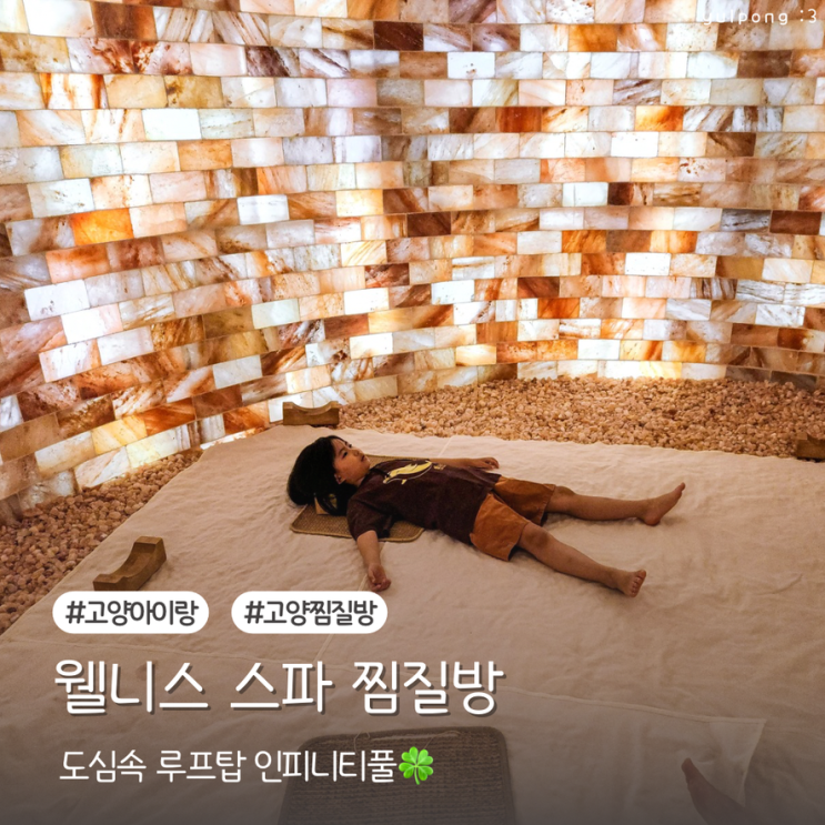  고양가볼만한곳 웰니스 스파 찜질방 도심속 루프탑 인피니티풀 데이트