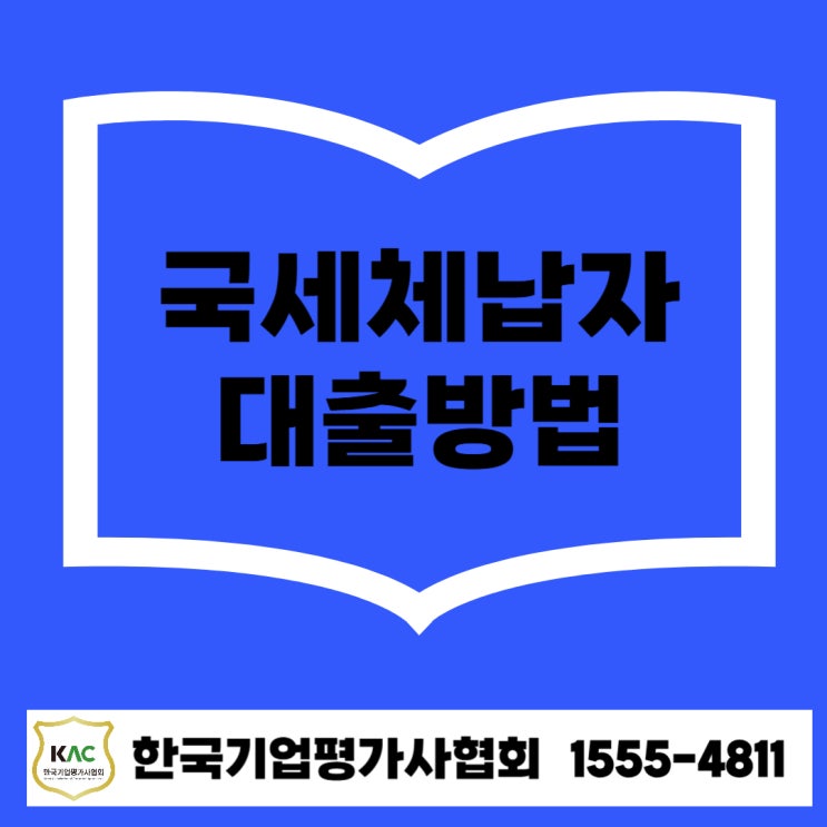  국세 체납자도 정책자금 대출 가능할까? 현실적 방법과 컨설팅 전략