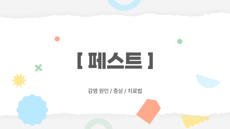  [감염 미생물] 페스트에 관하여 알아보기
