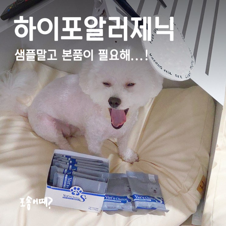  알러지 강아지도 잘 먹는 사료? 하이포알러제닉, 닥터독 베츠초이스