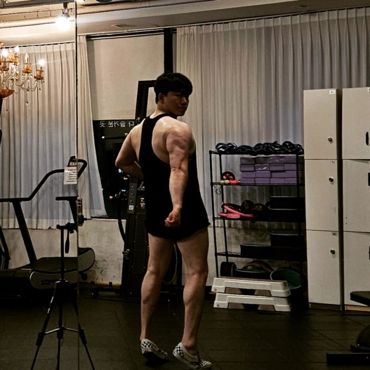 250717 가슴 어깨 삼두 운동루틴 체형분석