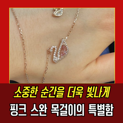  스와로브스키 핑크 스완 목걸이 5469989 실사용 후기