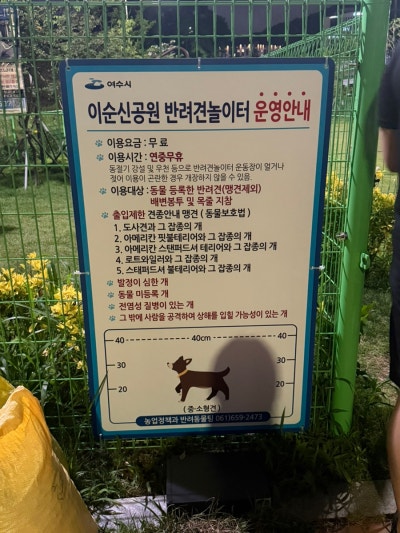사진 4