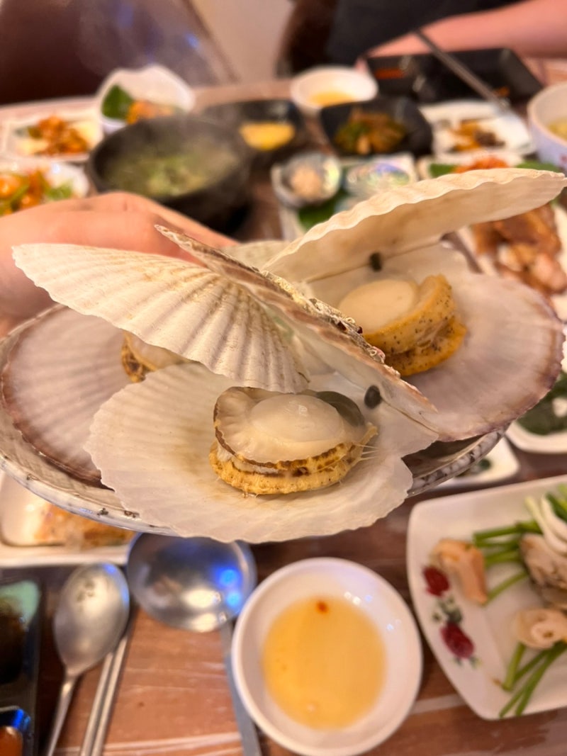 포항 이모카세로 유명한 맛집ㅣ동창생ㅣ솔직후기