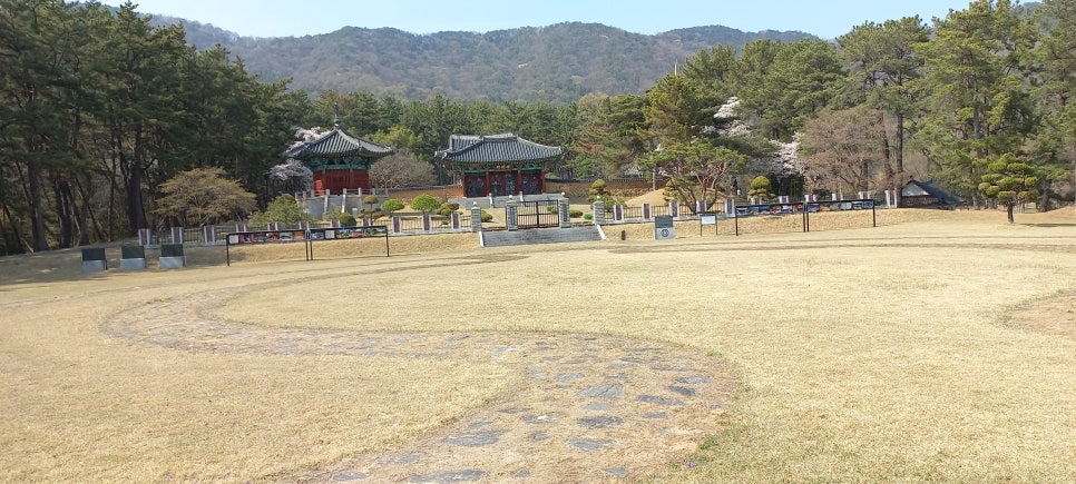 오동골 사진 6