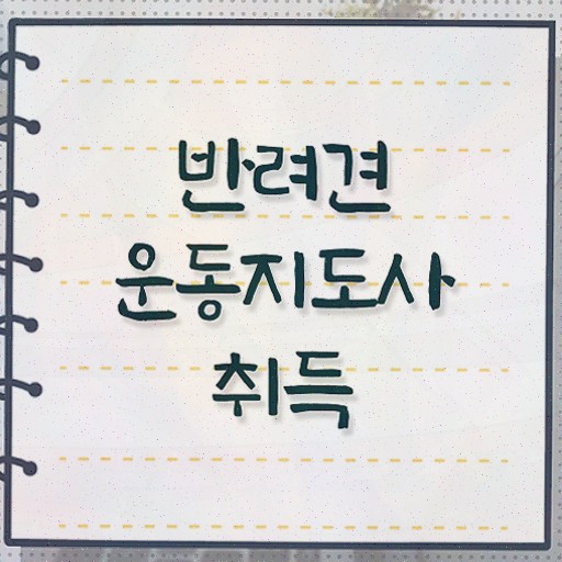  40대취업자격증 , 반려견운동지도사 비전공 직장인도 온라인 교육원에서 간단하게 성공한 방법