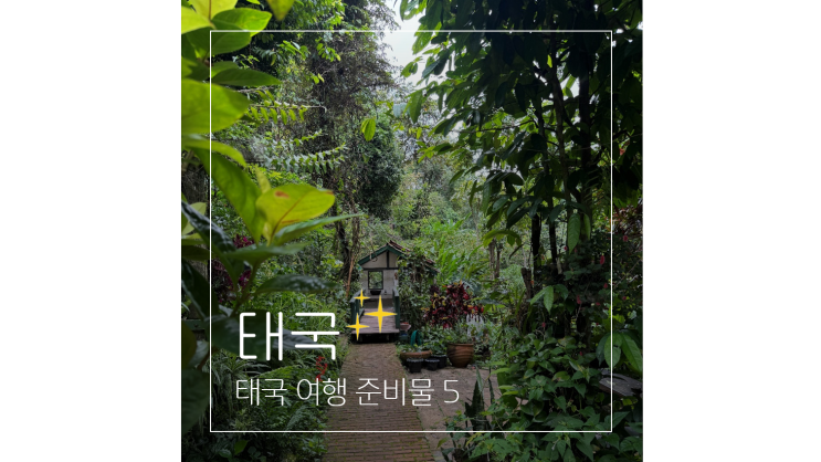  태국 여행 준비물 체크리스트 5ㅣ유심사 치앙마이 이심부터 TDAC까지