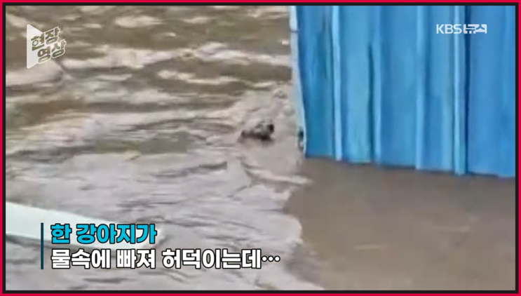 간추린 사건사고 ️250718금17 뉴스모음