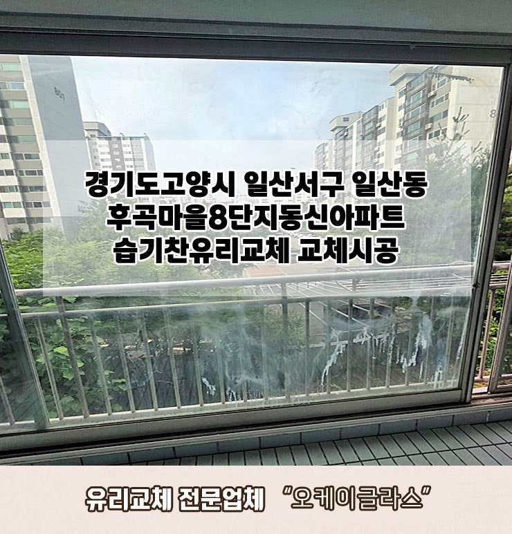  경기도고양시 일산서구 일산동 후곡마을8단지동신아파트 습기찬유리교체 "오케이글라스"