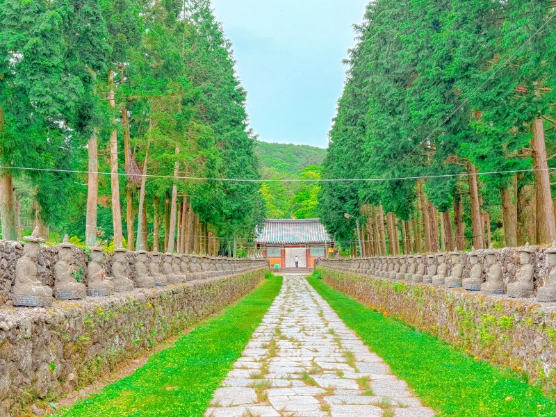 제주도절, 고요함 속 '숨은절경' 제주 관음사 (제주도우영우촬영지)