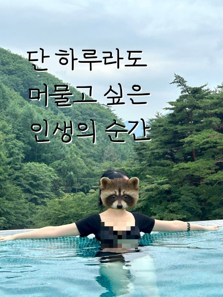  제천 포레스트 리솜 객실 스파 마묵라운지 솔직후기