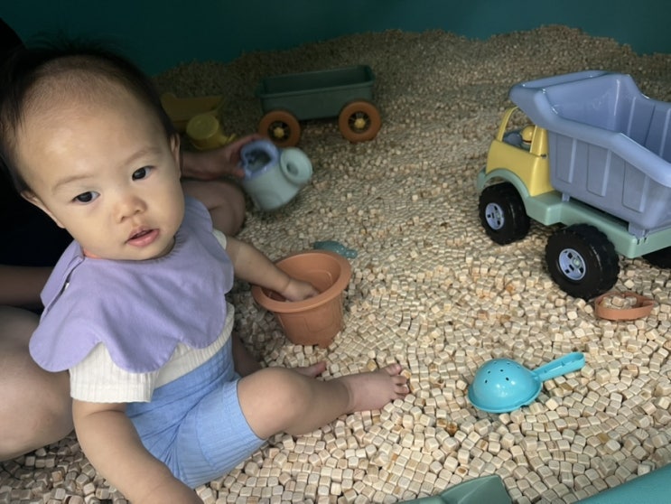  영덕 목재문화체험장 15개월 아이랑 갈만한 곳 방문 후기