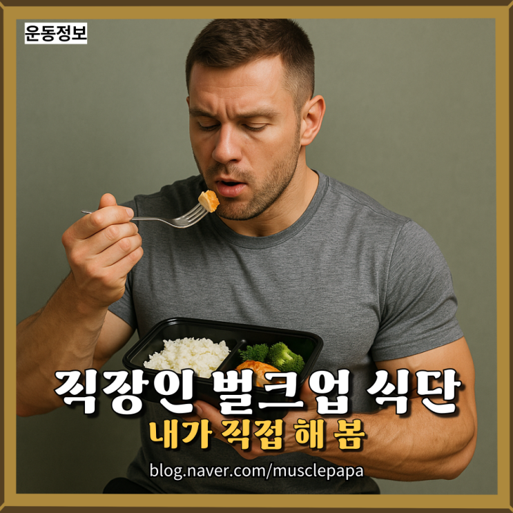  직장인 벌크업 식단, 내가 직접 먹고 해보고 말해드림(XX 하나면 다 해결)