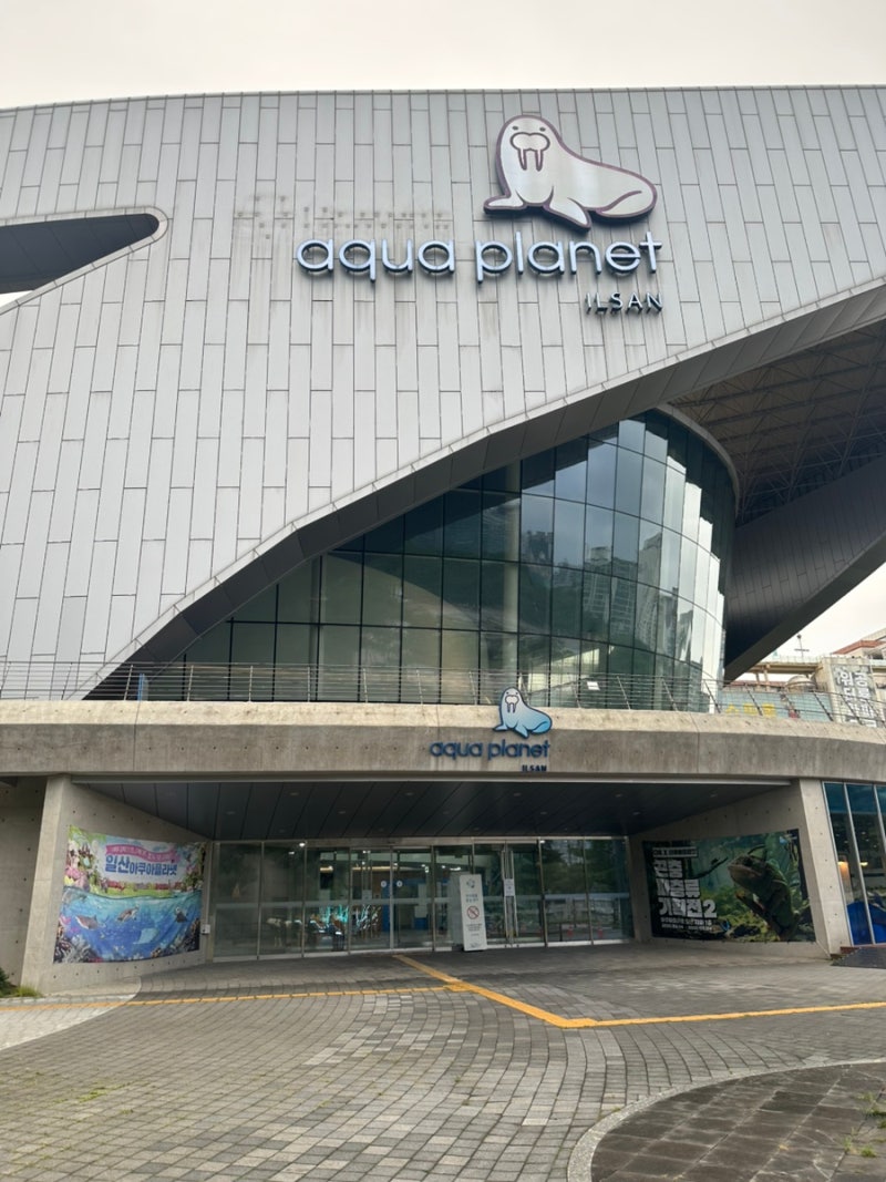 오늘은, “아쿠아플래닛 일산 이용 꿀팁! 입장권 가격부터 공연 시간표까지 총정리”