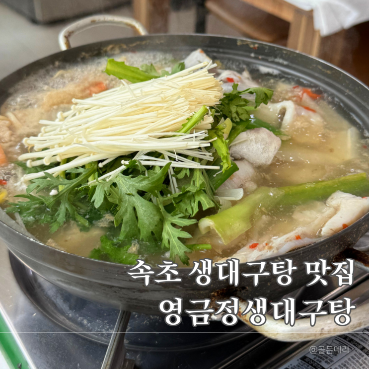  속초 생대구탕 맛집 추천｜영금정 근처 국물요리 해장에 딱