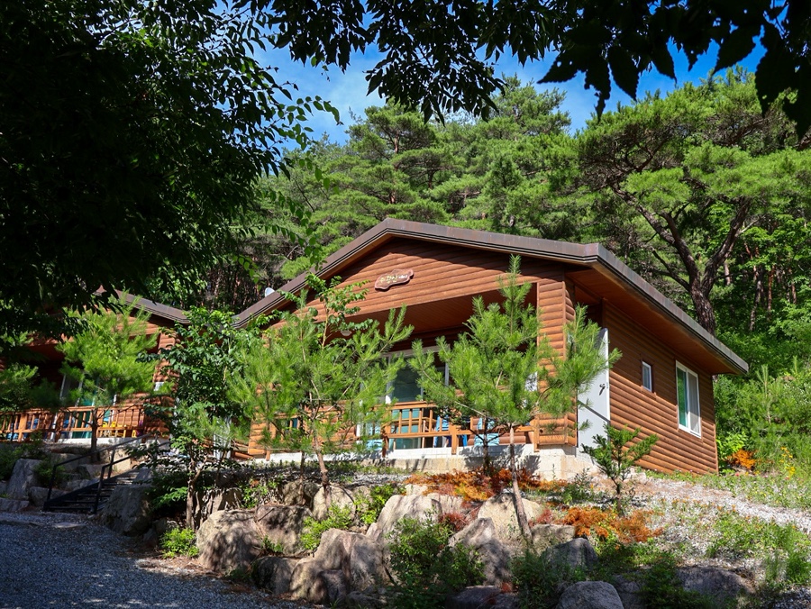 주산지산촌생태마을펜션 사진 3