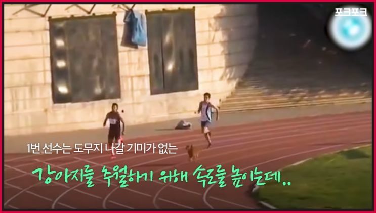 간추린 스포츠톡 ️250719토16 뉴스모음