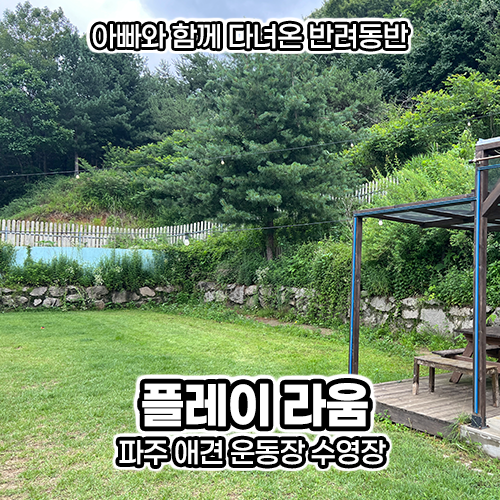 사진 6