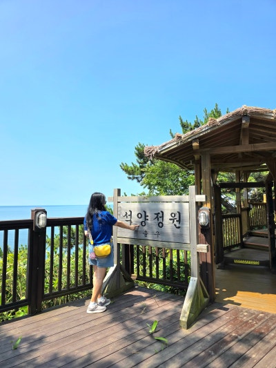 사진 5