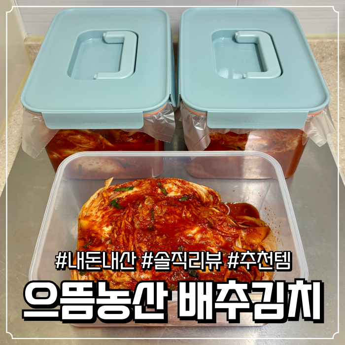 [내돈내산] 으뜸농산 태백산포기김치 ❤️ 갓 도착해도 맛있고 익으면 더 맛있는 재재재구매....