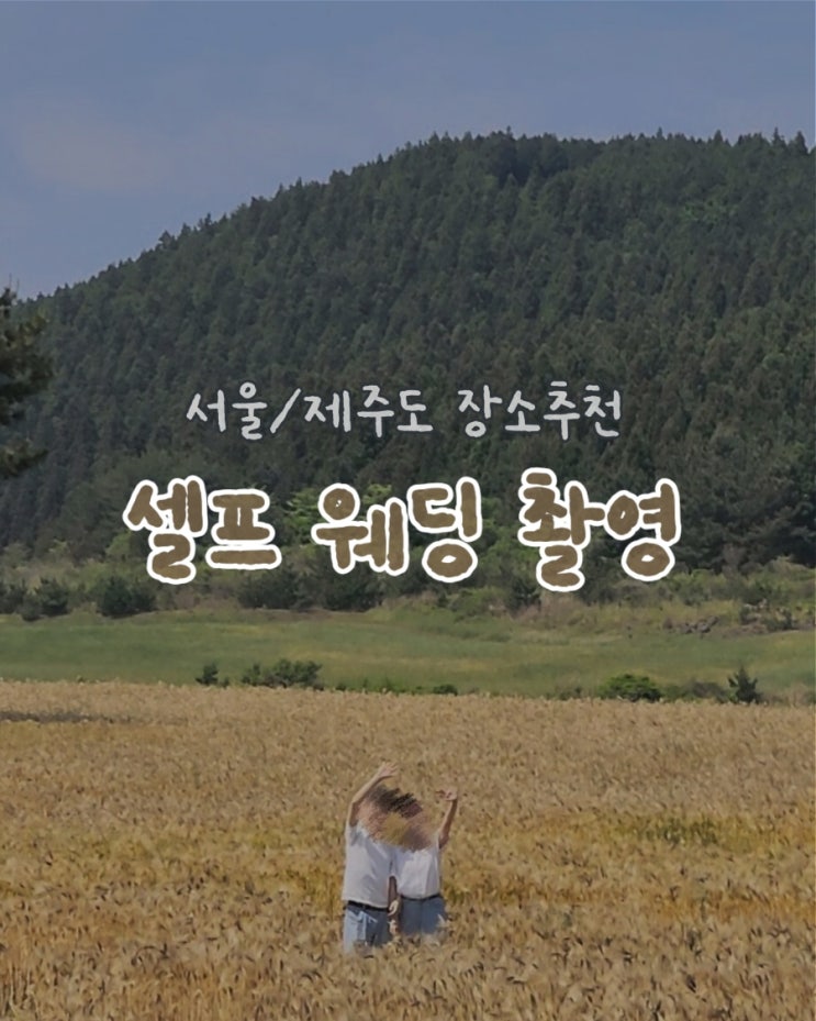  셀프 웨딩 촬영 기록[➋서울,제주도 장소모음] 용산공원 부분개방부지 추천 | 오라동메밀밭 5,6월 방문후기 황금보리, 유채꽃, 메밀꽃, 청보리밭