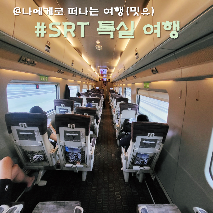 동탄 SRT 특실 좌석 캐리어 간식 후기, 배치도 일반실 차이?