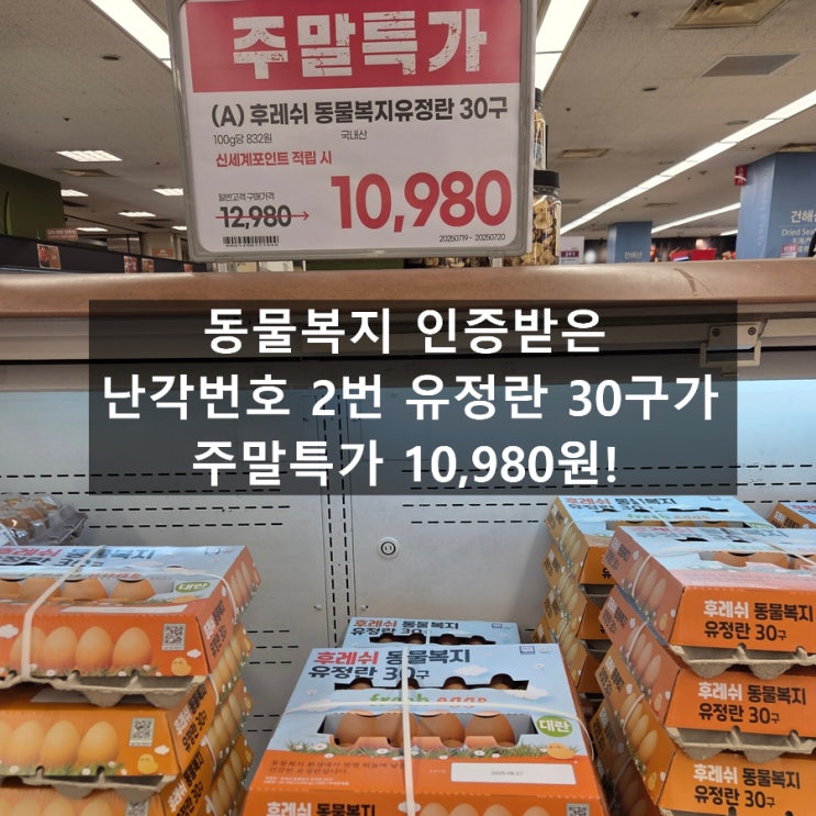  이마트 부천점에서 만난 난각번호 2번 유정란