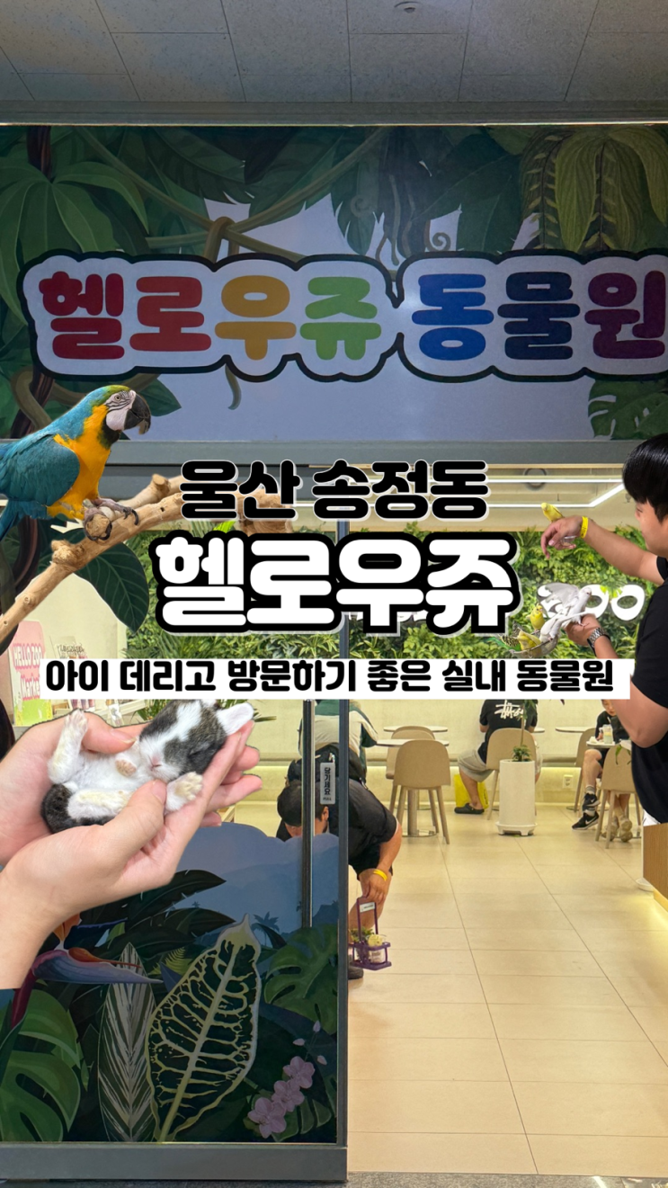  덥고 비 올 때 데이트 코스로 딱인 요즘 핫플 울산 송정 실내동물원 헬로우쥬