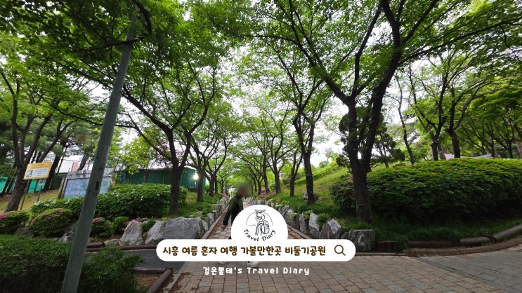  경기도 시흥 비둘기공원 국내 혼자 여행 여름 애견동반 가볼만한곳