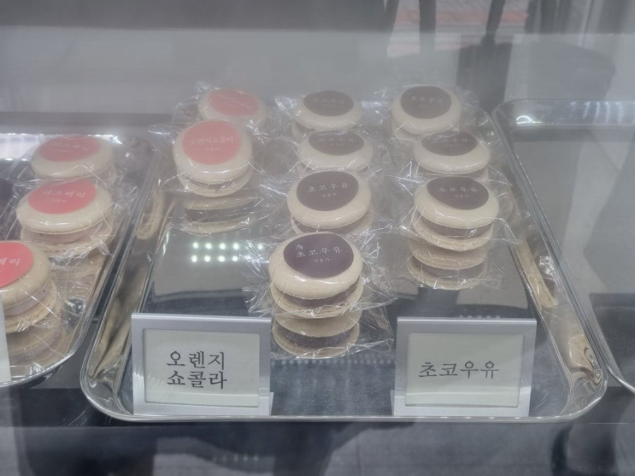 달롱가 사진 5