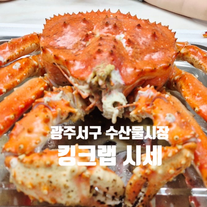 광주 서구 매월동 풍암동 수산물시장 킹크랩 시세 포장 후기 전화번호