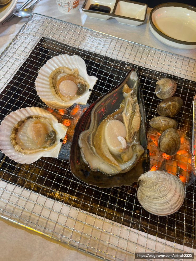  충남/당진 당일치기 코스 추천 :: 왜목마을 해수욕장, 바다향기 횟집 조개구이+광어회