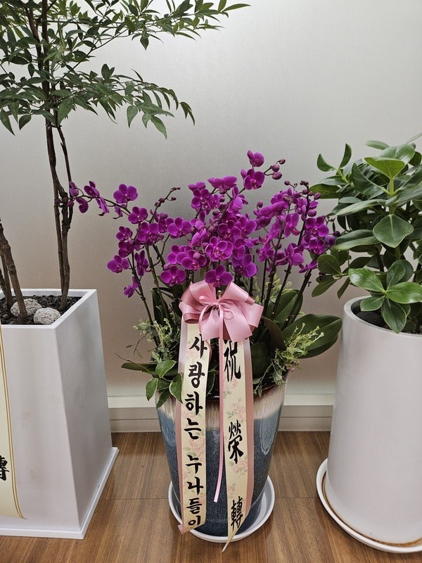 꽃피는산골 사진 2