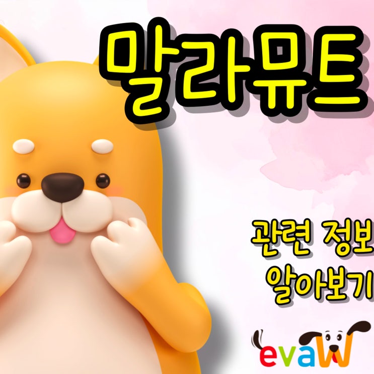  말라뮤트 새끼 키우기 전 크기와 분양 시 주의점 비교