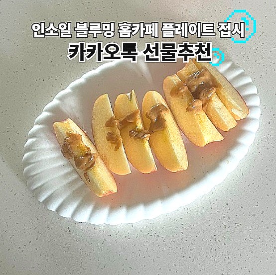  카카오톡 선물 인소일 블루밍 양면 2way 홈카페 플레이트 접시 그릇