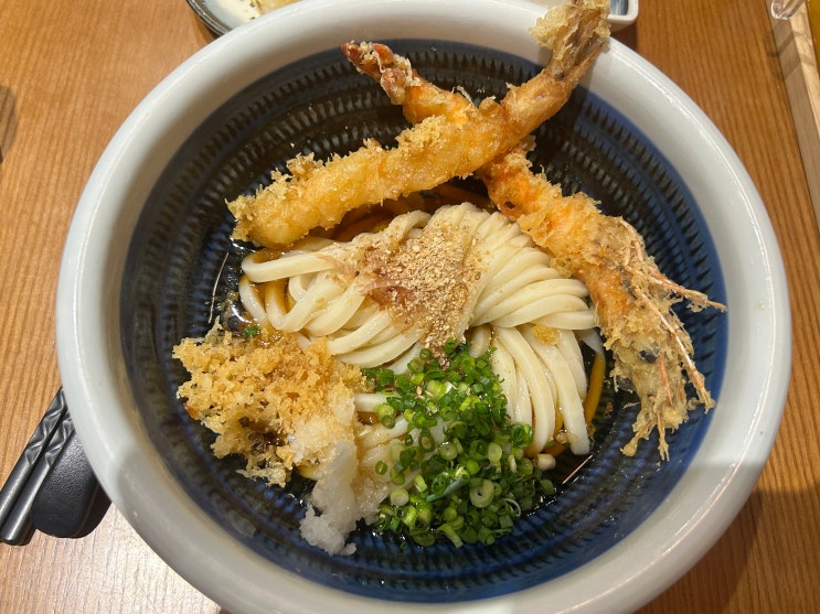  대전 둔산동 우동 맛집, '타츠진우동' 오픈런 성공하고 맛본 쫄깃탱글 수타우동!