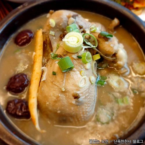 복날이란? 초복 중복 말복 제주시 연동 삼계탕 맛집 추천