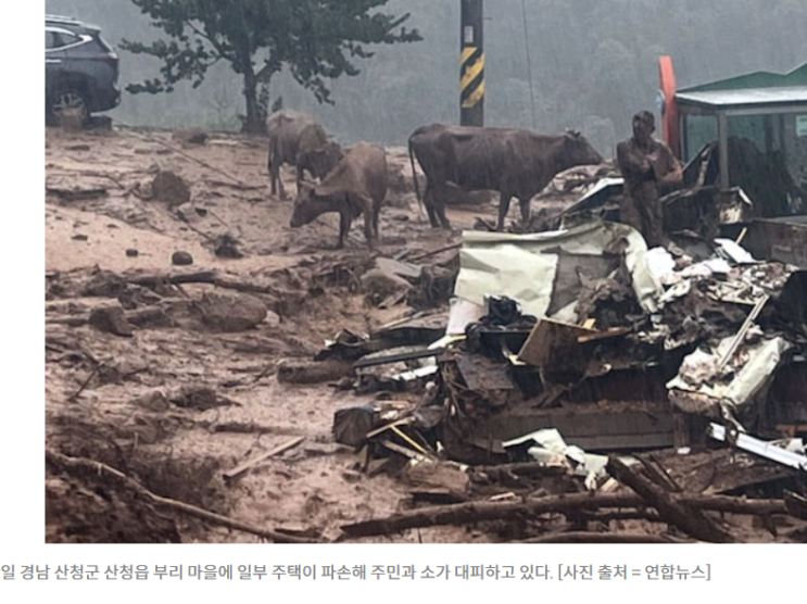 2025년 7월 경남 <b>산청 산사태</b>와 국가소방동원령 발령: 심층 분석