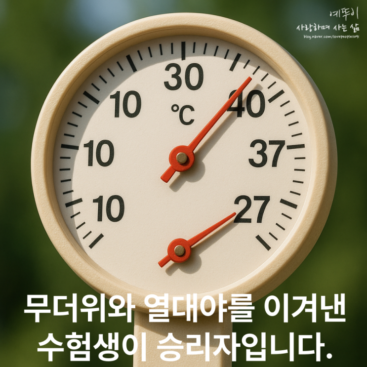  무더위 열대야 수험생을 위한 올바른 생활 리듬과 스케줄 관리의 중요성