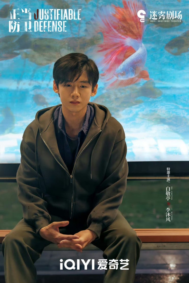  중드 정당방위 | 비추천, 검사님 저는 납득이 안 갑니다 리뷰 결말 (고엽, 장로일, 백경정)
