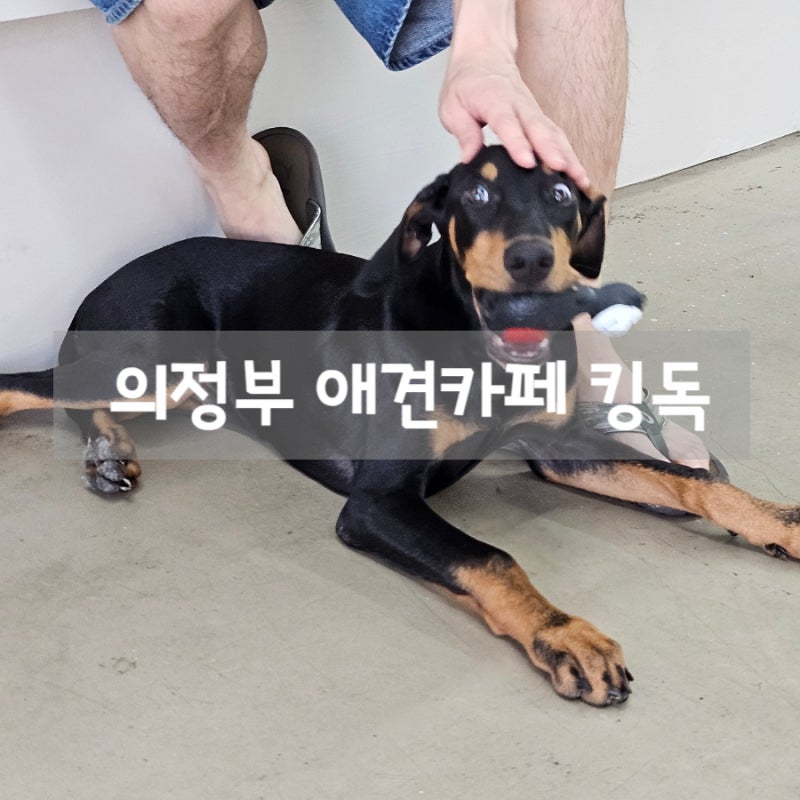 사진 7
