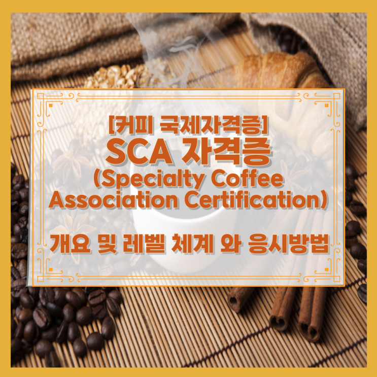  [커피 국제자격증] SCA 자격증 (Specialty Coffee Association Certification) 개요 및 레벨 체계 와 응시방법