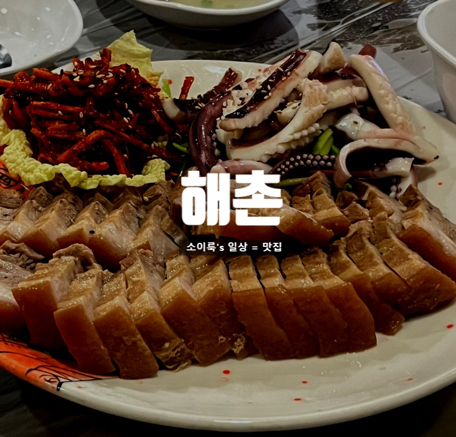 해촌 사진 1